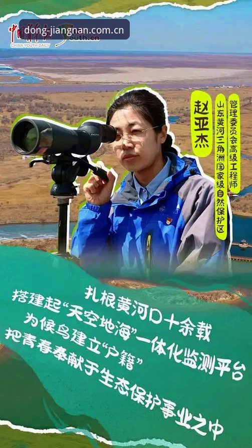 江南体育平台中国官方主页CN站最新动态：从“数据延迟”到“秒级刷新”的实战指南